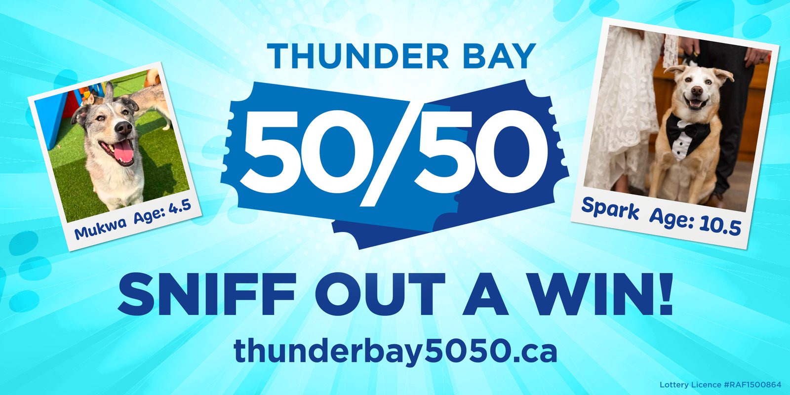 Thunder Bay 50/50 &mdash; Sniff Out A Win! August Dog Days of Summer, featuring supporter dogs Mukwa and Spark.