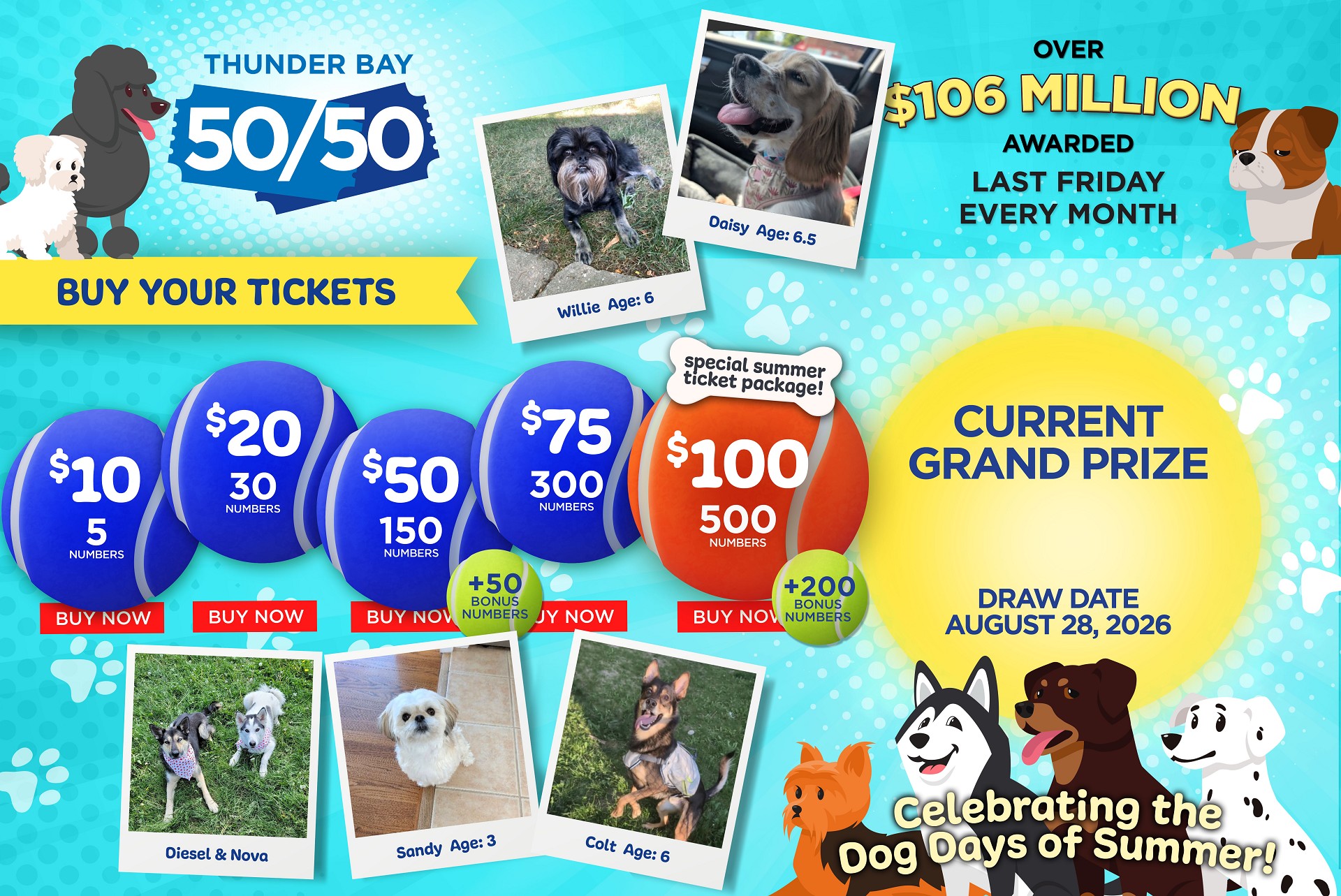 Grand Prize Banner