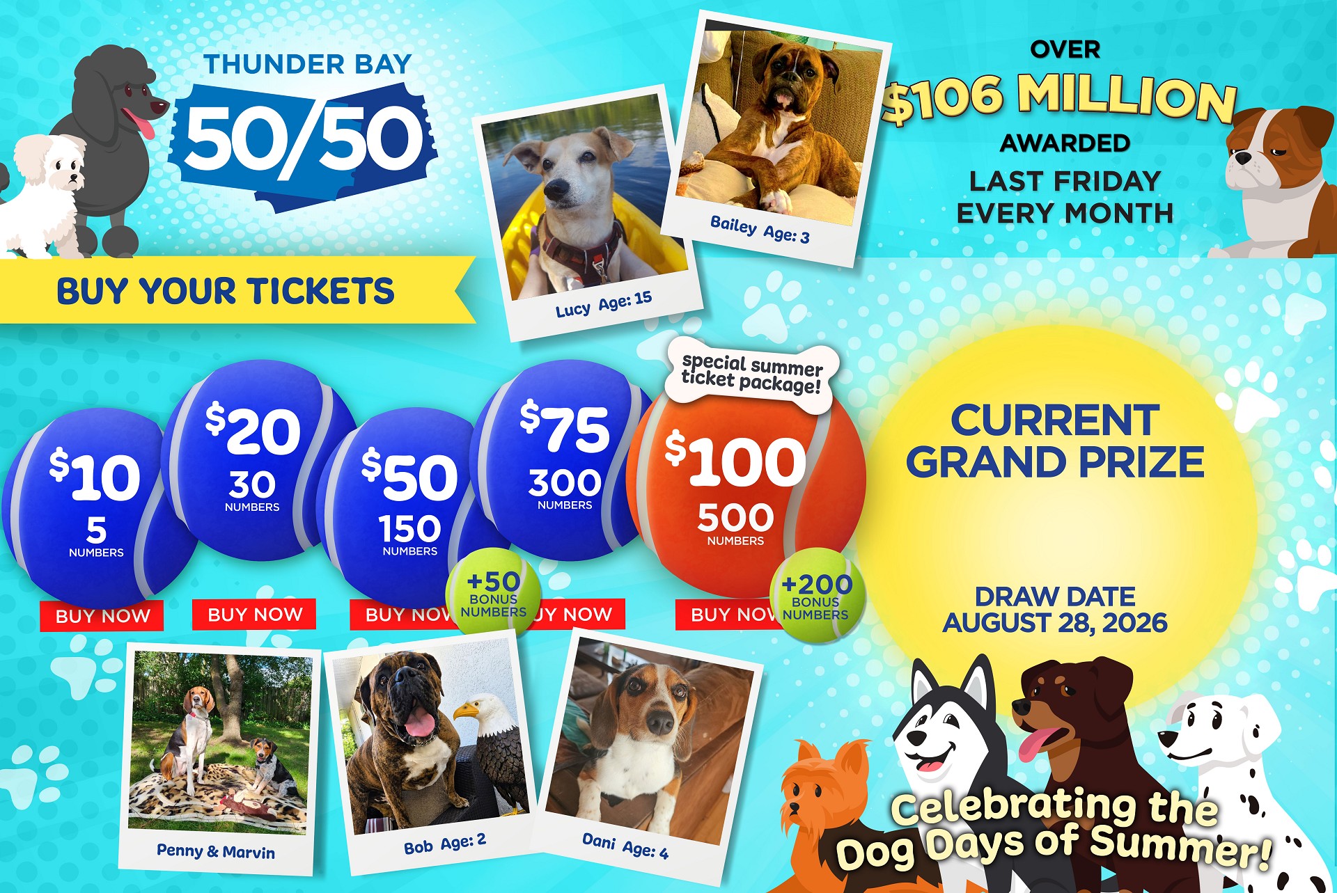 Grand Prize Banner