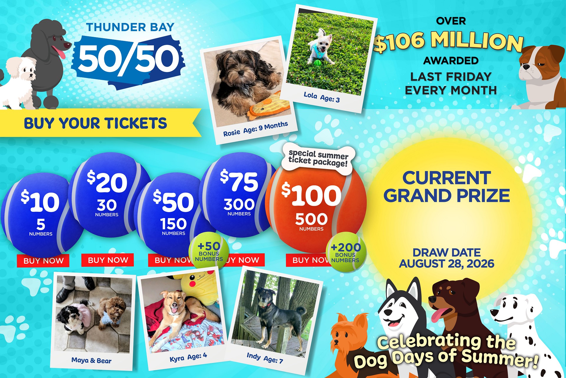 Grand Prize Banner