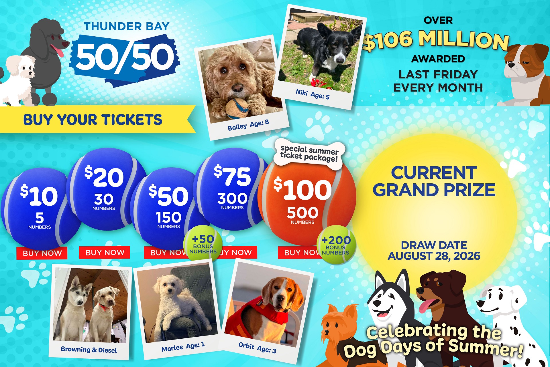 Grand Prize Banner