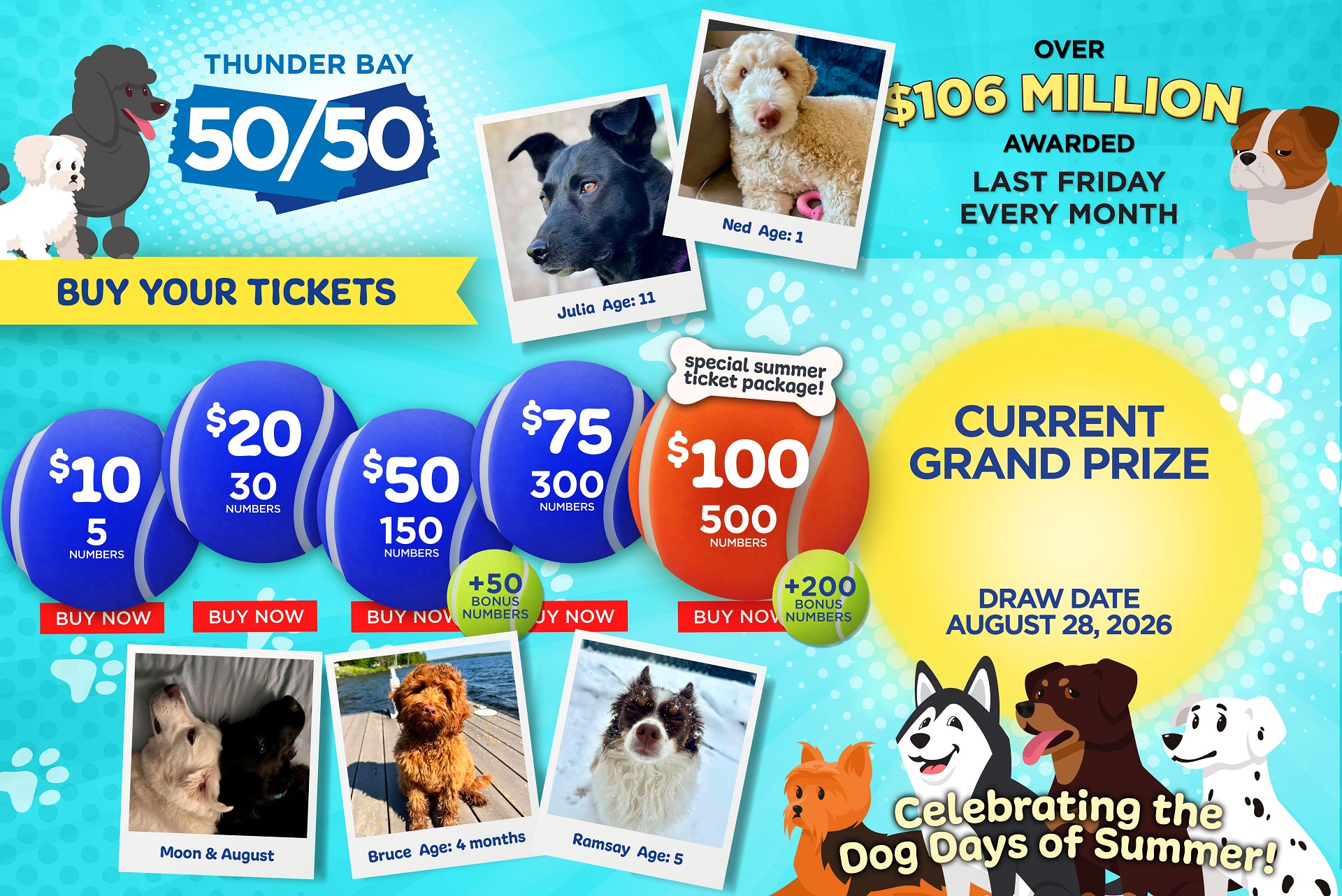 Grand Prize Banner