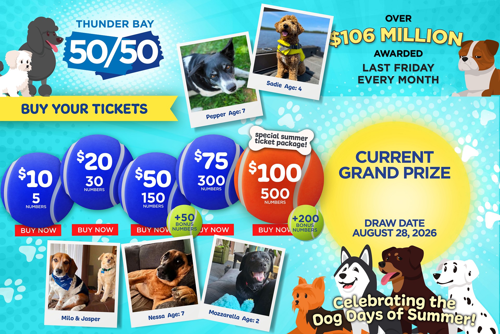 Grand Prize Banner