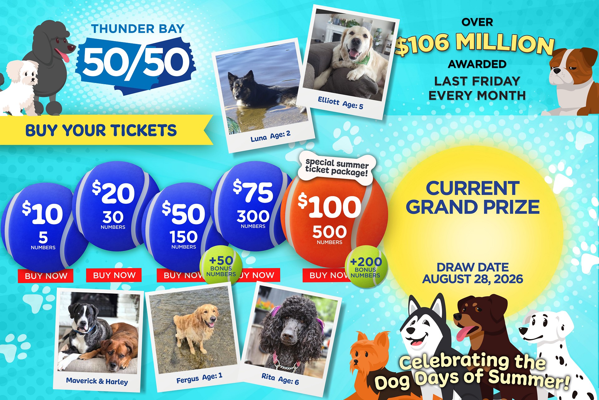 Grand Prize Banner