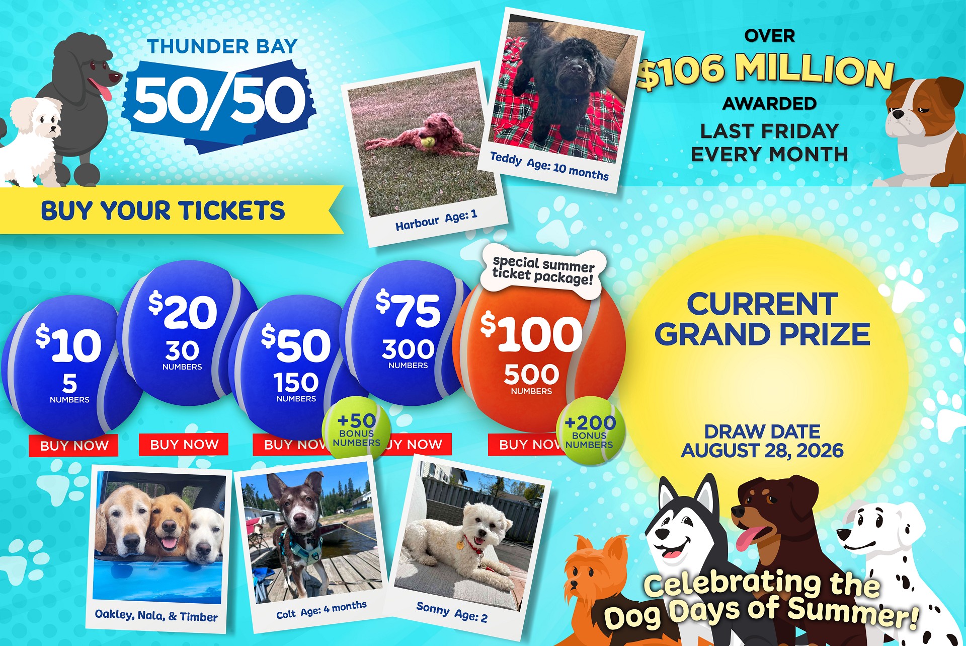Grand Prize Banner