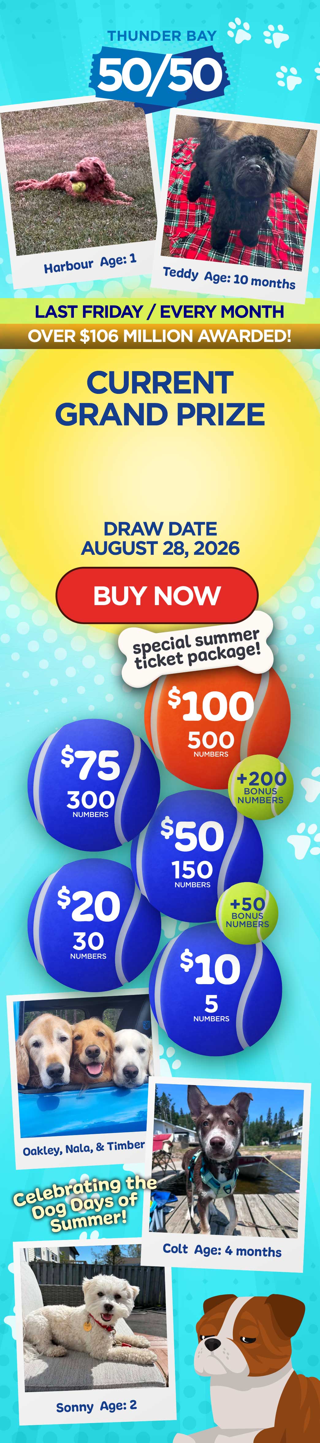 Grand Prize Banner Mobile
