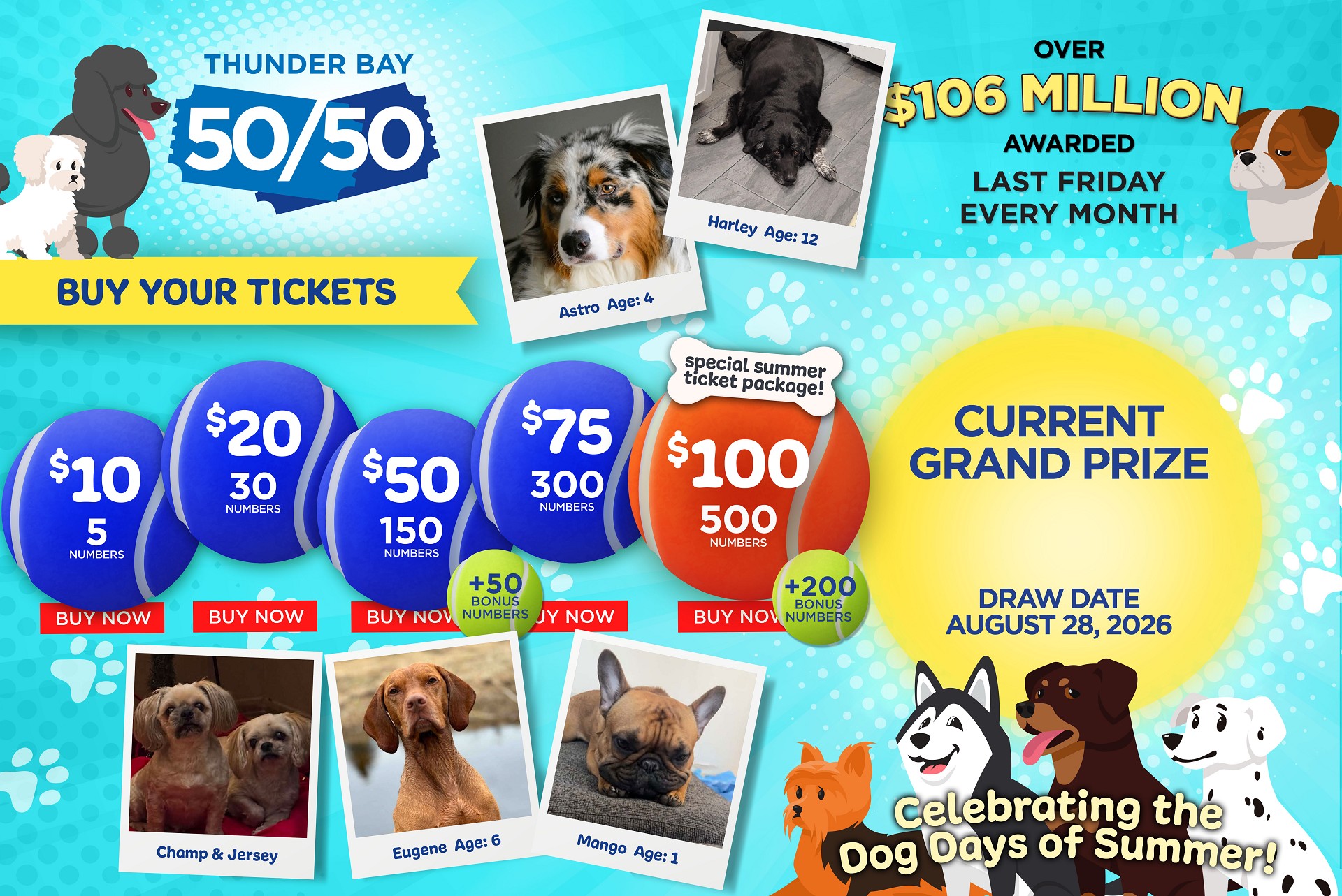 Grand Prize Banner