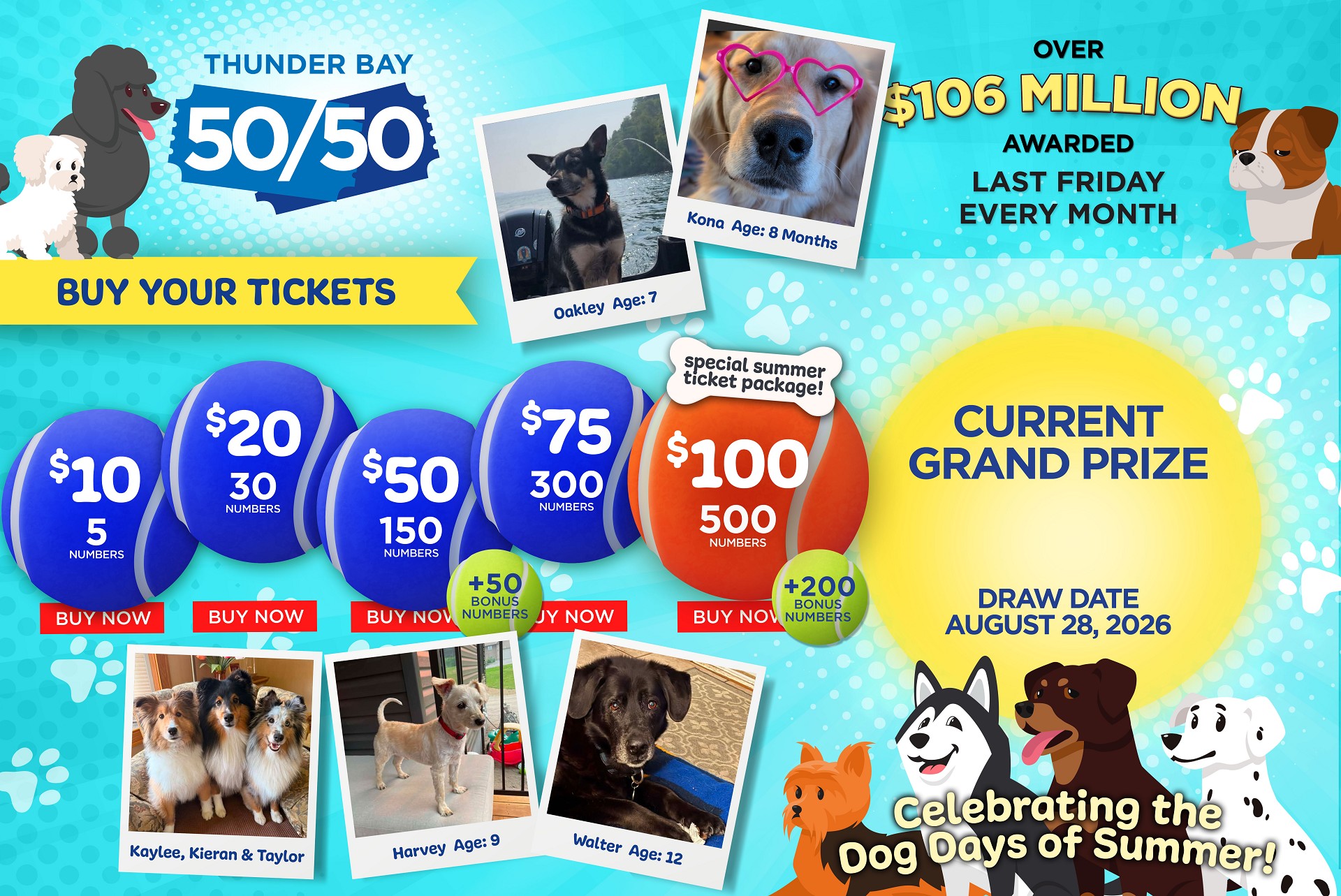 Grand Prize Banner