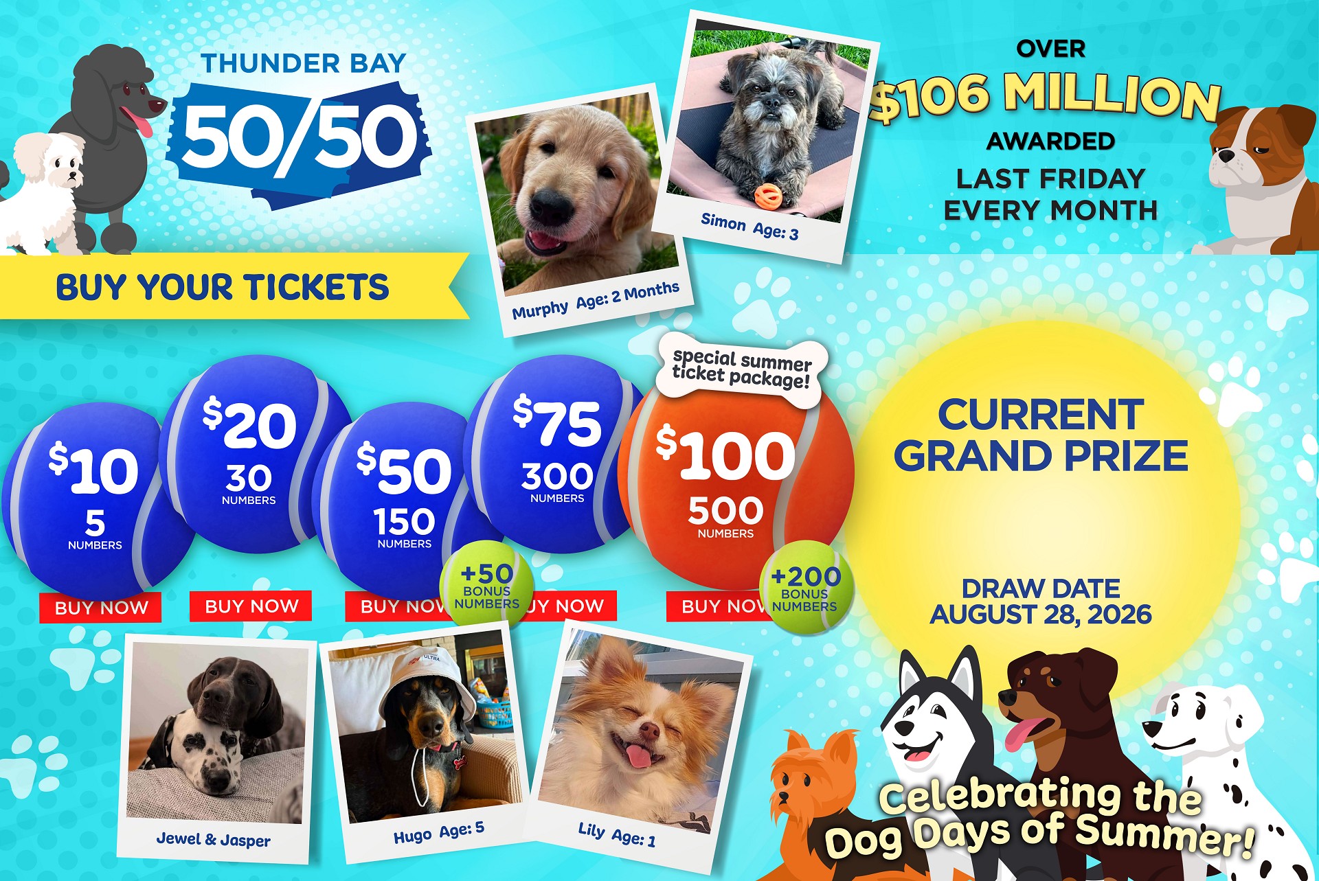Grand Prize Banner