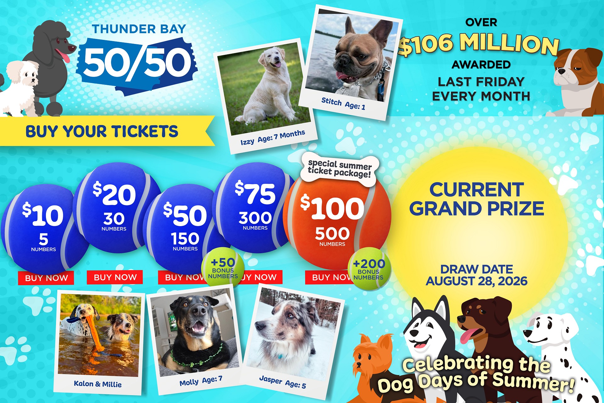 Grand Prize Banner