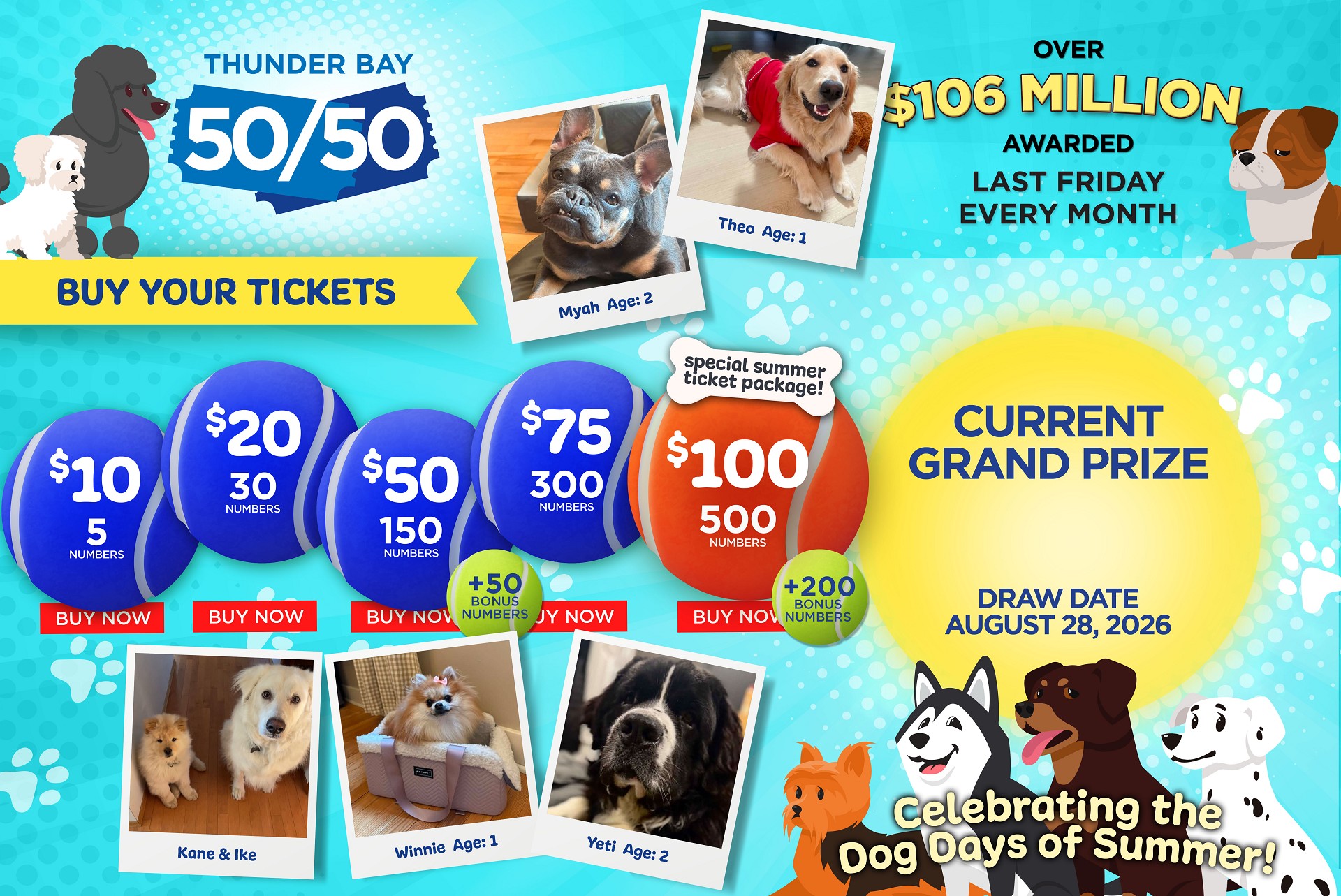 Grand Prize Banner
