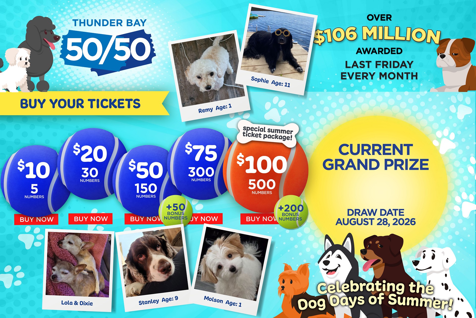 Grand Prize Banner